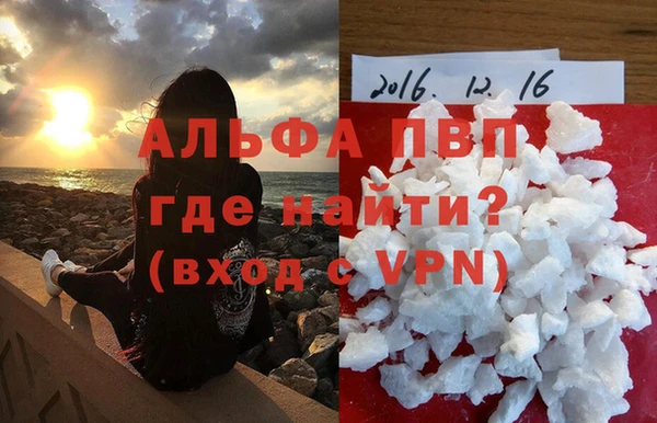 стаф Богородск